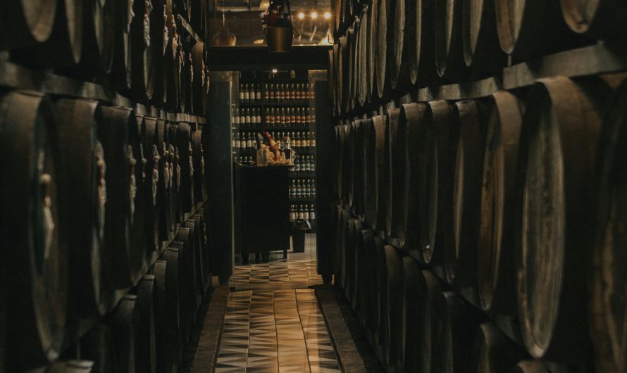 Кондиционер для винного погреба в Москве: преимущества и особенности