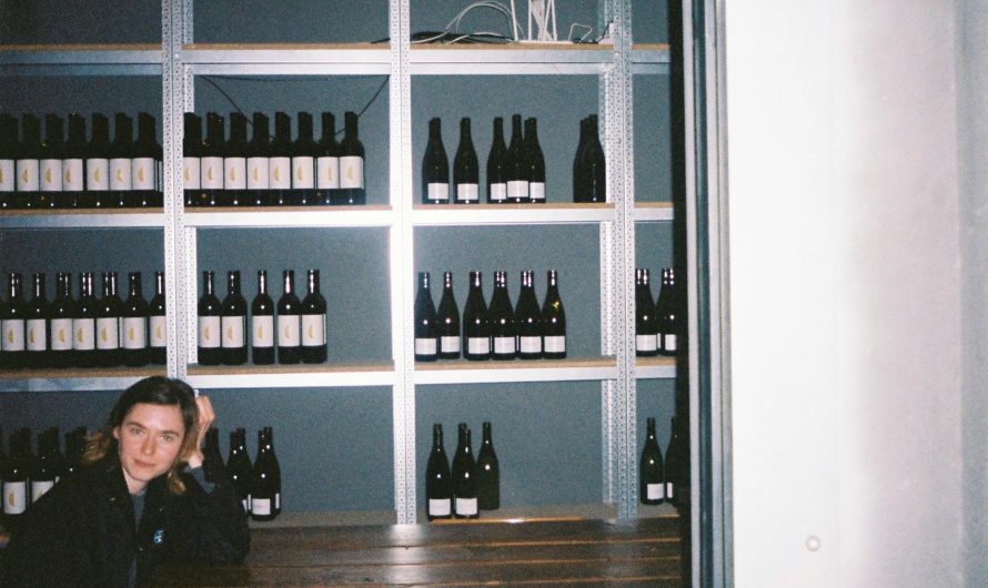 Купить кондиционер для погреба для хранения вина в Москве