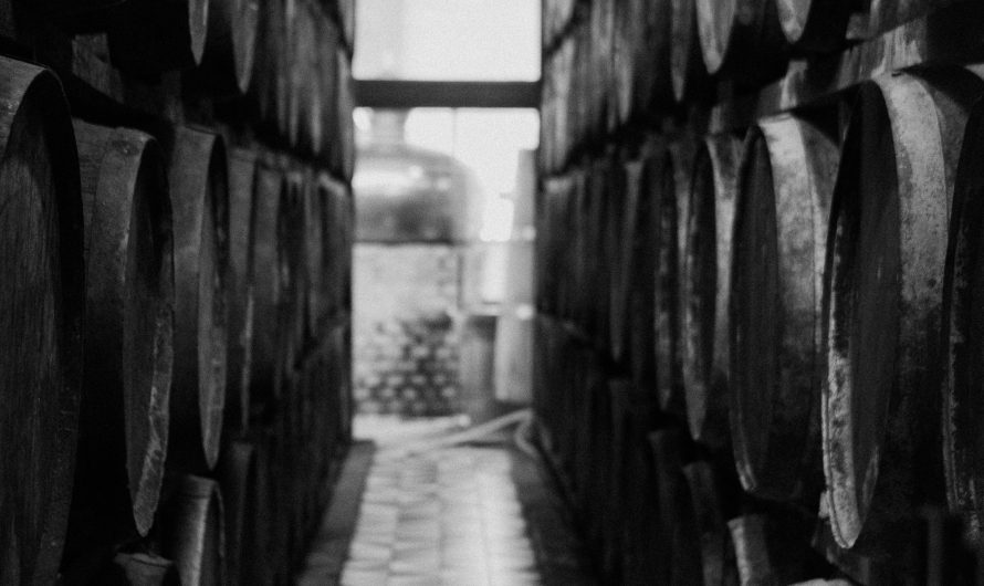 Сплит-система для погреба в Московской области: почему это важный элемент вашего подвала