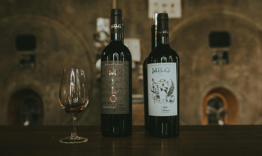 Сплит-система для погреба для хранения овощей в Москве: советы по установке