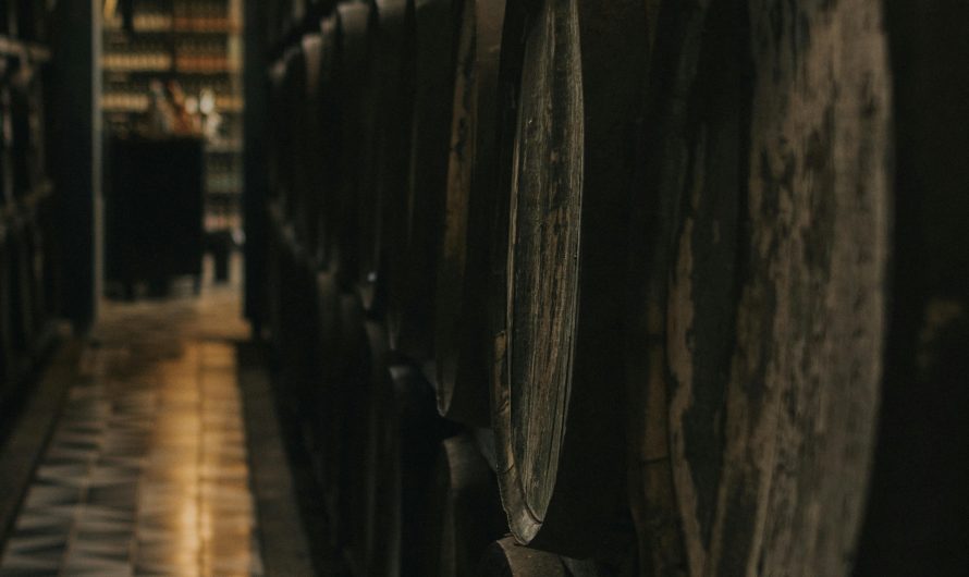 Кондиционер для винного погреба в Москве: что стоит учесть при установке