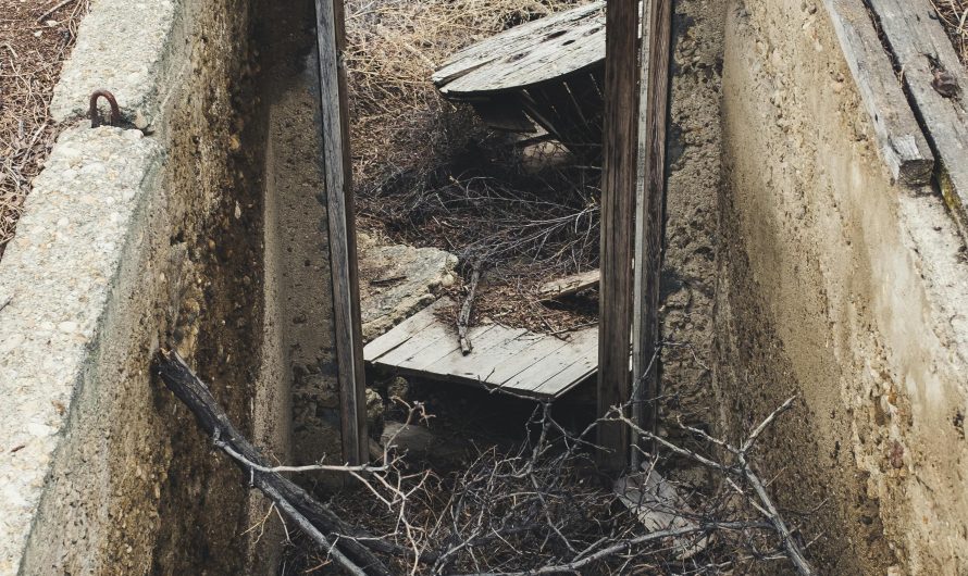 Сплит-система для погреба в Москве: как выбрать для хранения овощей и фруктов