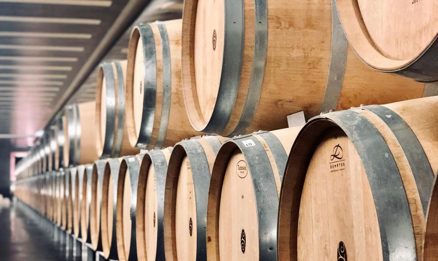 Сплит-система для хранения овощей в Московской области: что выбрать для подвала