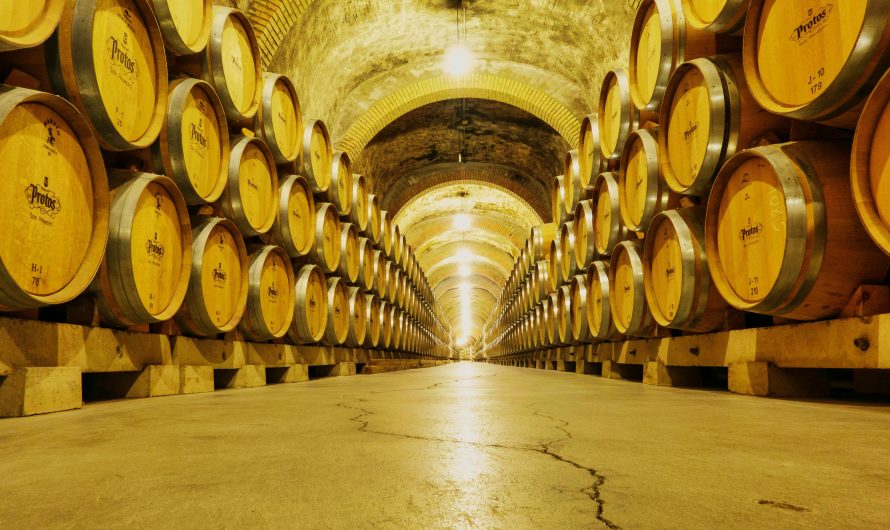 Сплит-система для погреба и подвала в Московской области: как обеспечить правильный климат