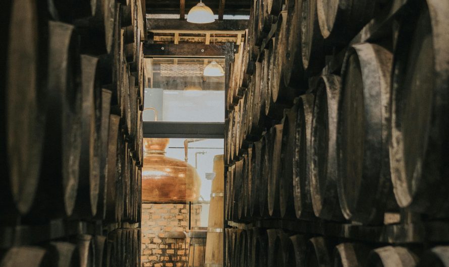 Сплит-система для погреба в Москве: как выбрать для хранения овощей