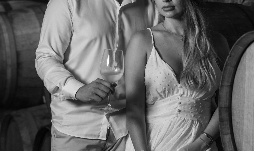 Сплит-система для винной комнаты в Московской области: лучшие решения для хранения вина