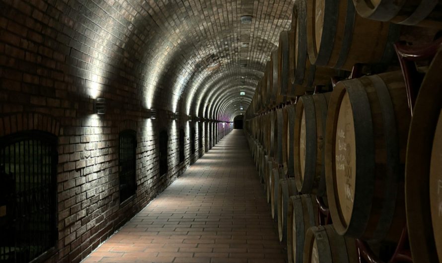 Кондиционер для погреба в Москве: особенности выбора и установки