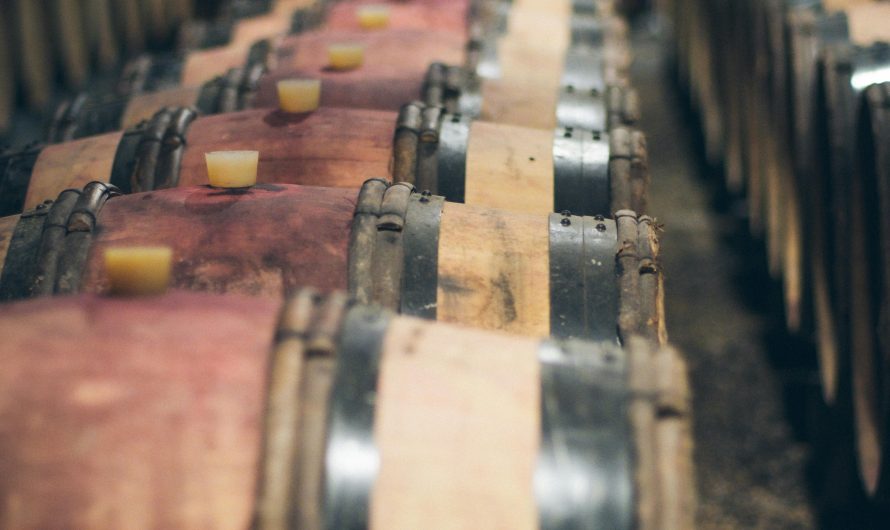 Кондиционер для хранения овощей в Москве: как выбрать лучший вариант