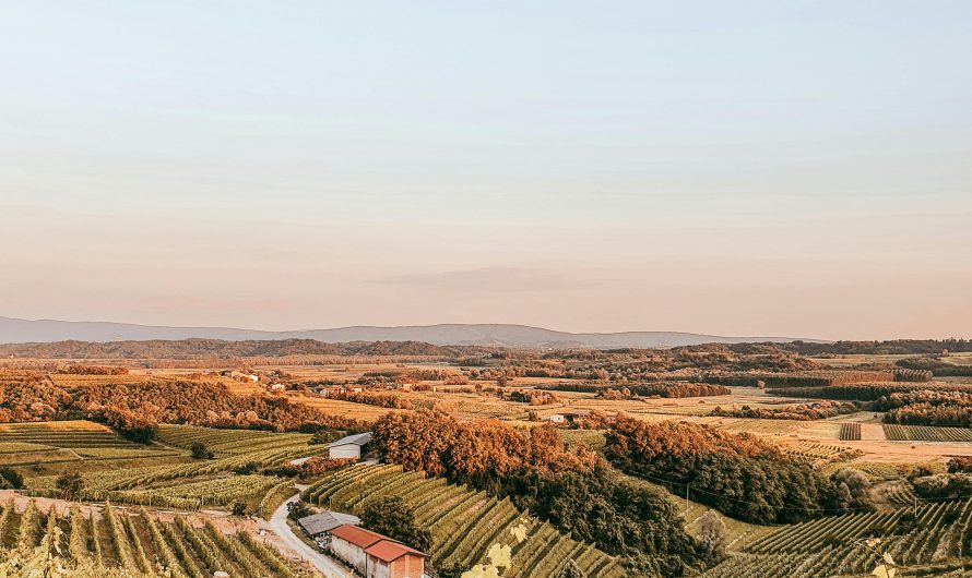 Сплит-система для погреба в Москве: монтаж и технические особенности
