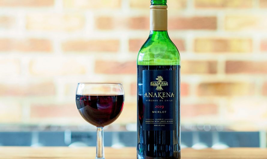 Сплит-система для винного погреба в Москве: как правильно выбрать