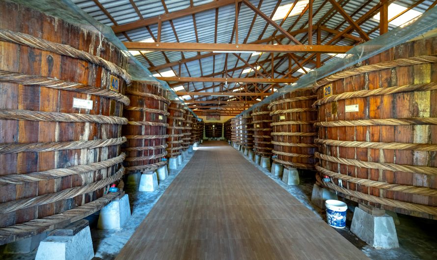 Кондиционер для винного погреба в Московской области: топ-5 моделей