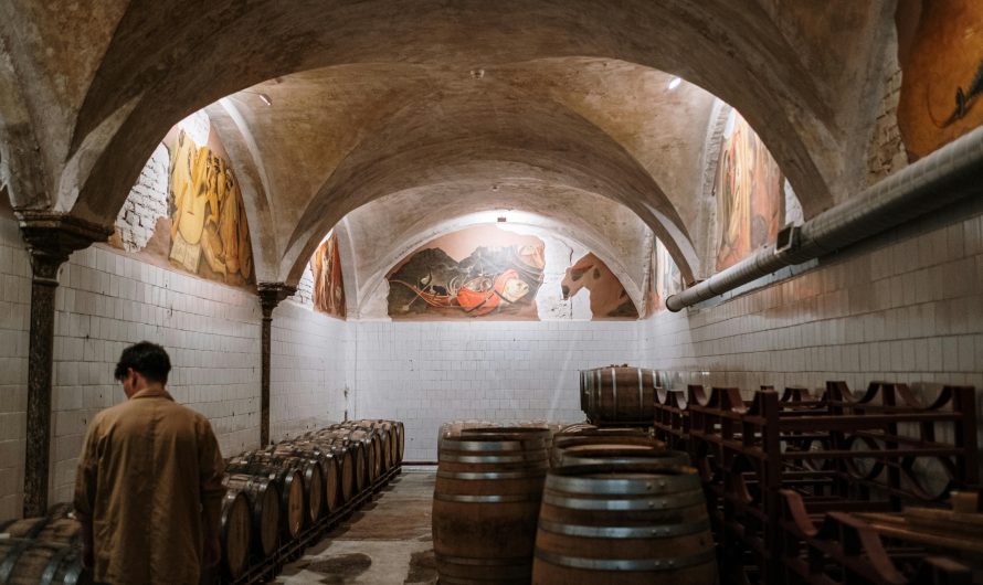 Сплит-система для хранения овощей в Московской области: как выбрать и установить