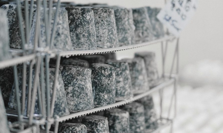 Сплит-система для погреба в Московской области: важные факторы при выборе